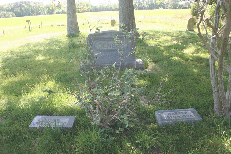 Dula and Carter's graves at the Robertson Cemetery